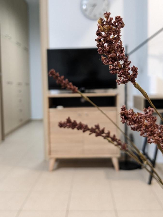 Cozy Apartment Near The City Centre イラクリオン エクステリア 写真